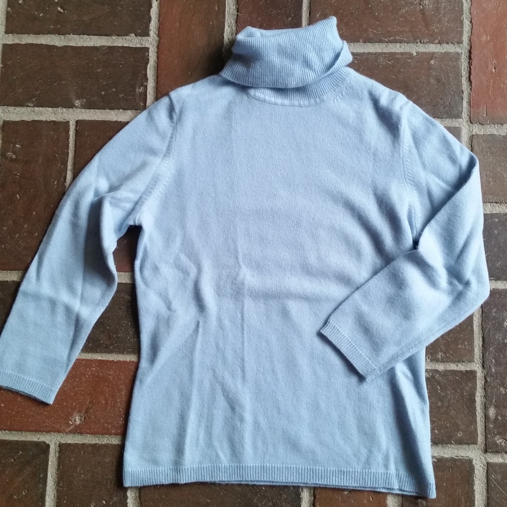 Ann Taylor Cashmere Turtleneck